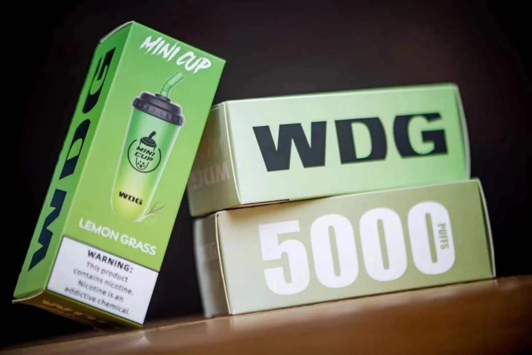 High Quality Wdg 6000puffs Wholesale Disposable Vape Pod Mini Cup Vape