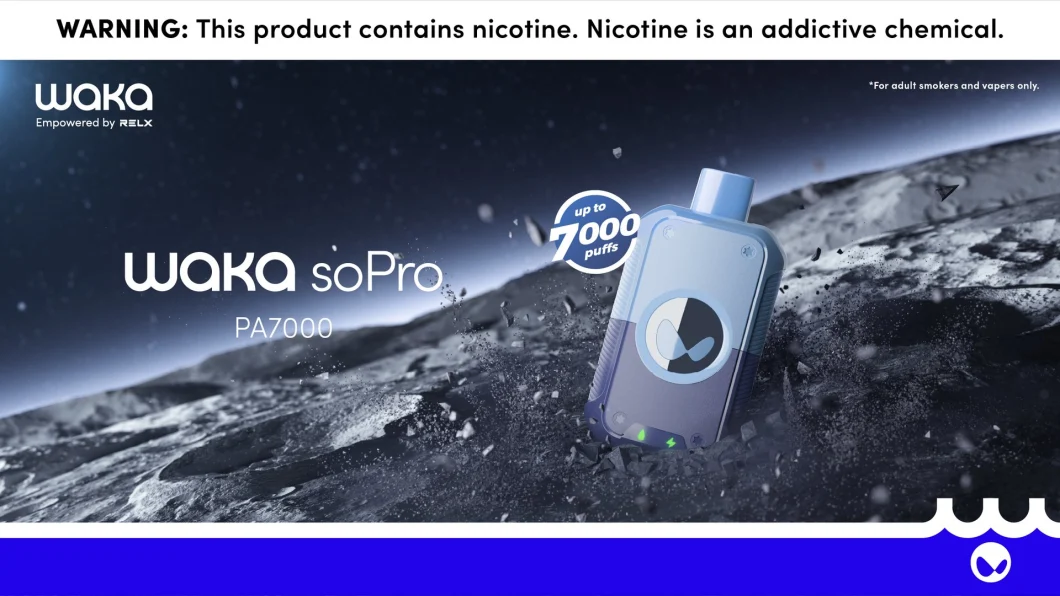 Fast Shipping Wholesale Manufactory Ecig 7000puffs Electronic Cigarette Disposable Vape ODM