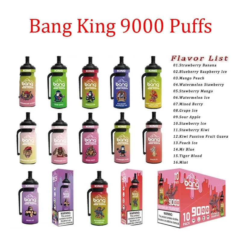 Fruit Flavors E-Cigarette Big Disposable Vape with 9000puffs 650mAh Battery Vape