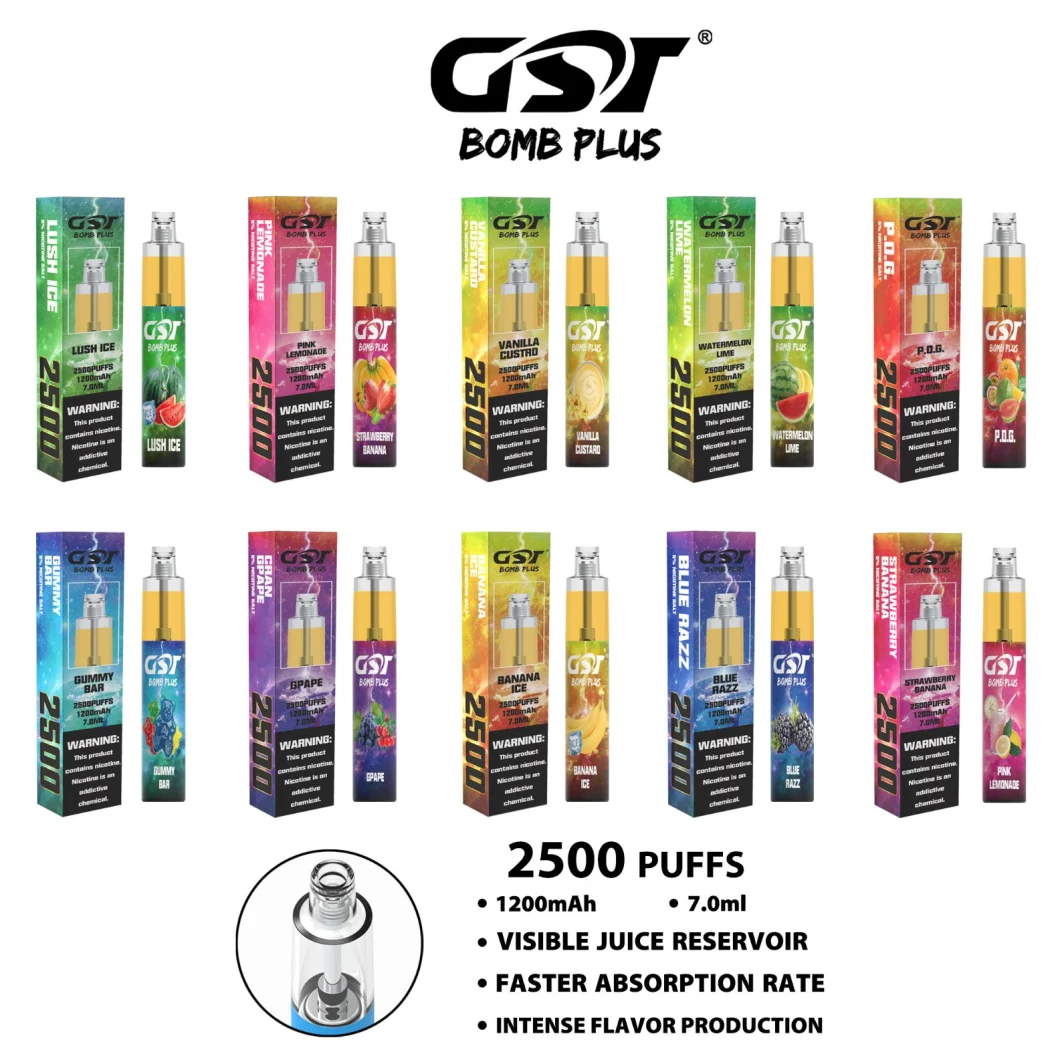 Gst Bombplus 2500puffs Improved Quality Disposable Vape with More Fruits Flavours