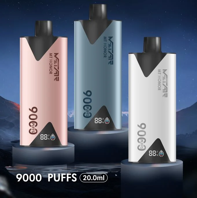 Europe Hot Sale E Disposable Vape 9000puffs with E-Liquid and Power Screen Disapaly Custom Fruit Flavors